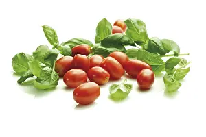 Fresh Basil Leaves Image Prints: Cherry tomatoes with basil