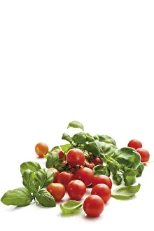 Cherry Tomatoes Prints: Cherry tomatoes with basil