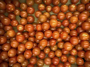 Mini Tomatoes Prints: Cherry tomatoes, mini tomatoes