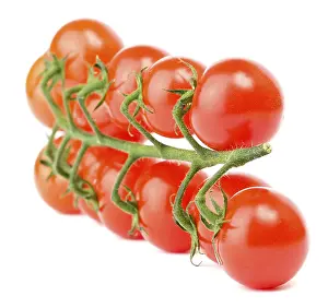 Cherry Tomatoes Prints: Cherry tomatoes on the white