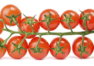 Deserted Studio Shot Prints: Cherry tomatoes on the white