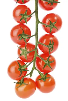 Cherry Tomatoes Prints: Cherry tomatoes on the white