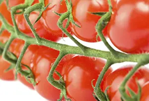 Deserted Studio Shot Prints: Cherry tomatoes on the white