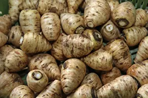Empty Landscape Prints: Chervil turnips