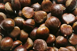 Winter Food Photography Prints: Chestnuts