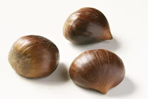 Sweet Chestnut Nutrition Prints: Chestnuts