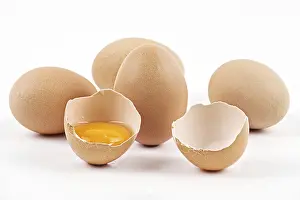 Chicken Eggs Prints: Chicken eggs with broken egg