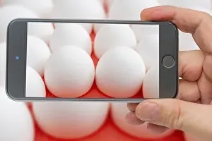 White Chicken Eggs Prints: Chicken eggs on smartphone screen