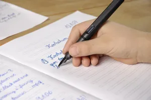 Primary School Homework Prints: Child is doing his homework