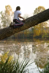 Childhood Moments Captured Prints: The child sits highly on a tree