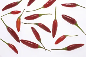 Studio Shot Vegetables Prints: Chilies