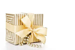Festive Season Decorations Prints: Christmas present