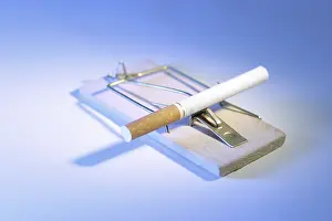 Framed Print : Cigarette on a Mouse Trap Print Framed Print : Cigarette on a Mouse Trap Print