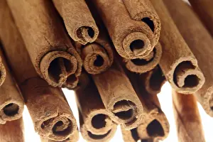 Cinnamon Sticks Prints: Cinnamon sticks