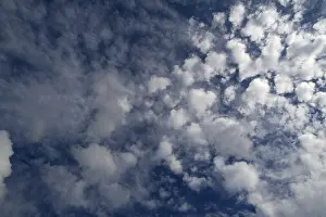 Cloud Formation Prints: Cirrocumulus cloud