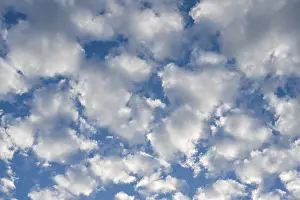 Cirrocumulus Clouds Germany Prints: Cirrocumulus, small fleecy clouds, Germany