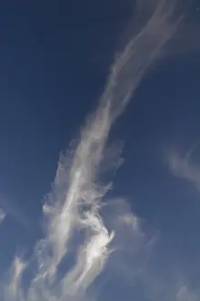 Cirrus Clouds Prints: Cirrus cloud