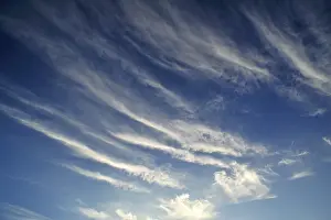 Cirrus Clouds Prints: Cirrus clouds