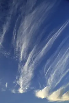 Cirrus Clouds Prints: Cirrus clouds