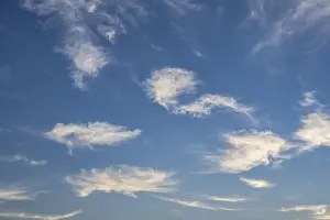 Cirrus Clouds Prints: Cirrus clouds, feather clouds, ice clouds