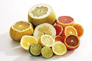 Citrus Fruit Prints: Citrus fruit