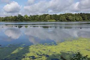 Overcast Sky Landscape Photo Prints: Clear water with algae and clouds