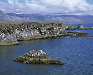 Basalt Rock Formations Prints: Cliffs formed by volcanic basalt columns