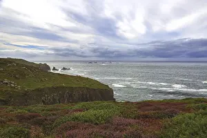Uninhabited Coastal Scenes Prints: Cliffs with heather in the foreground