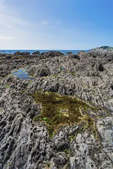Deserted British Beaches Prints: Cliffs and rocks by the Bantham Beach