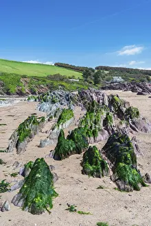 Prints of Cliffs and rocks by the Bantham Beach, Kingsbridge, Devon, England, United Kingdom Kingsbridge Prints: Bantham Beach Cliffs Print, Devon Coastline