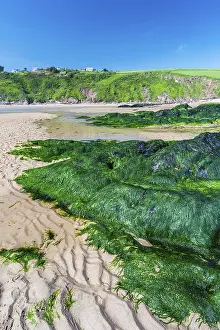 Prints of Cliffs and rocks by the Bantham Beach, Kingsbridge, Devon, England, United Kingdom Kingsbridge Prints: Bantham Beach Cliffs Print, Devon, England