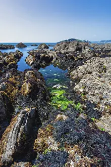 Prints of Cliffs and rocks by the Bantham Beach, Kingsbridge, Devon, England, United Kingdom Kingsbridge Prints: Bantham Beach Cliffs Print, Devon Coastline