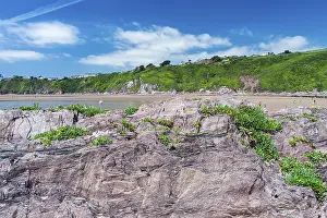 Prints of Cliffs and rocks by the Bantham Beach, Kingsbridge, Devon, England, United Kingdom Kingsbridge Prints: Bantham Beach Cliffs Print, Devon Coastline England