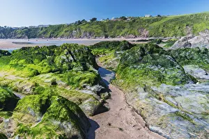 Devon Coastline Prints: Cliffs and rocks by the Bantham Beach