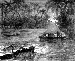 Wild Animal Depiction Prints: Clinging to the floating corpse