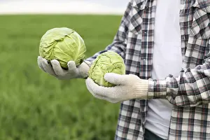 Cabbage Nutrition Facts Prints: Close up man with cabbage