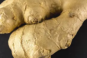 Deserted Plant Section Prints: Close up detail of a piece of ginger