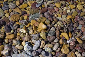 Deserted Stone Beach Prints: Close-up of colourful pebbles with different textures and patterns