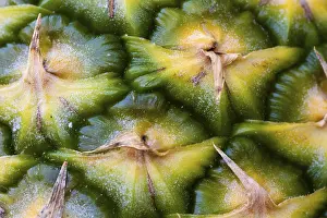 Close Up Macro Photography Prints: Close-up of a pineapple
