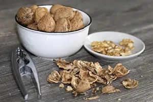 Walnut Close Up Prints: Close-up of walnuts on the table
