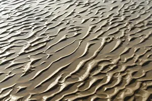 Atlantic Ocean View Prints: A close up view of sand structures at low tide on a beach
