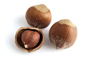 Studio Shot Of Hazelnuts Prints: Closeup of whole and cracked hazelnuts