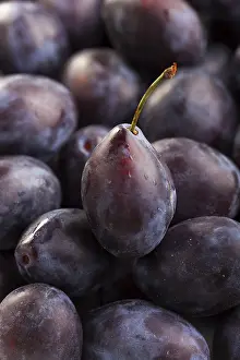 Uninhabited Landscape Photos Prints: Closeup of plums