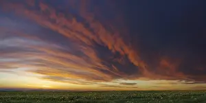 Flight In Cloudy Sky Prints: Cloud front approaching