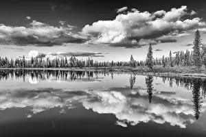 Cloudy Forest Lake Prints: Cloud reflection in a forest lake