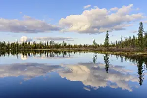 Forest Lake Sweden Prints: Cloud reflection in a forest lake