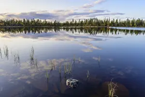 Lapland Landscape Prints: Cloud reflection in a forest lake