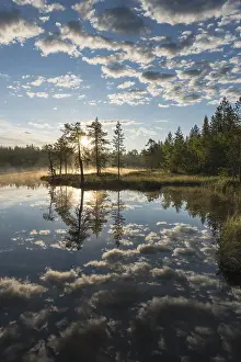 Cloudy Forest Lake Prints: Cloud reflection in a forest lake