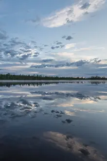 Cloudy Forest Lake Prints: Cloud reflection in a forest lake