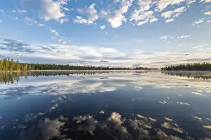 Prints of Cloud reflection in a forest lake, Norrbotten, Lapland, Sweden, July 2017 Lake Prints: Cloud Reflection Print, Norrbotten, Lapland Sweden 2017